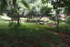 Elephant Country Homestay